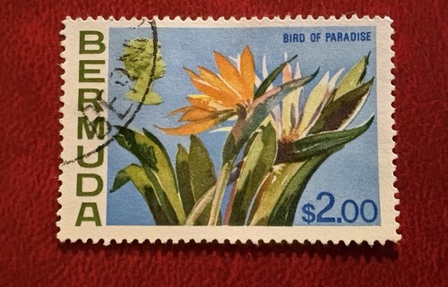 Bermuda 1975 set of - 1975., 1
